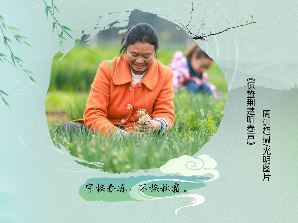 不负春光不误时！一图尽赏农谚里的春耕图景