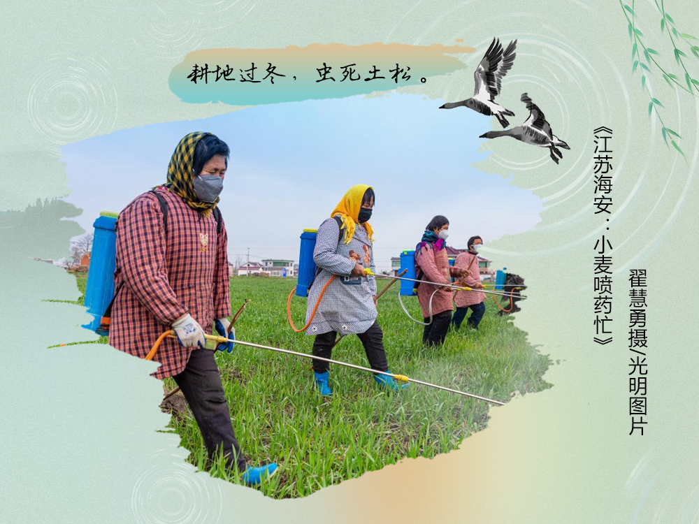 不负春光不误时！一图尽赏农谚里的春耕图景