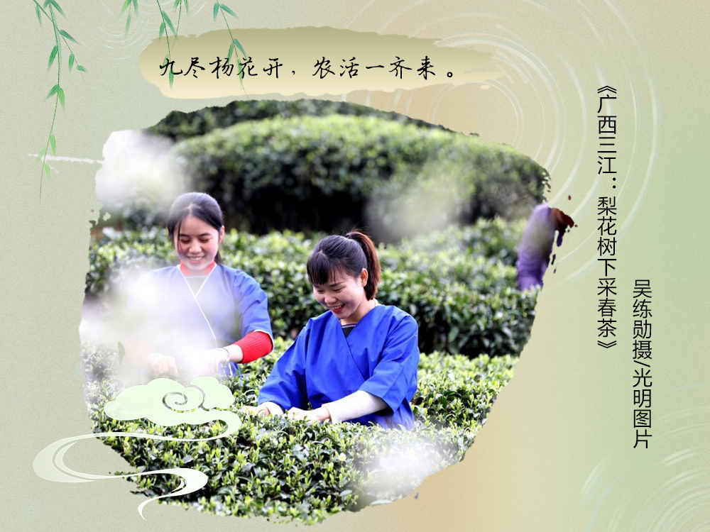 不负春光不误时！一图尽赏农谚里的春耕图景