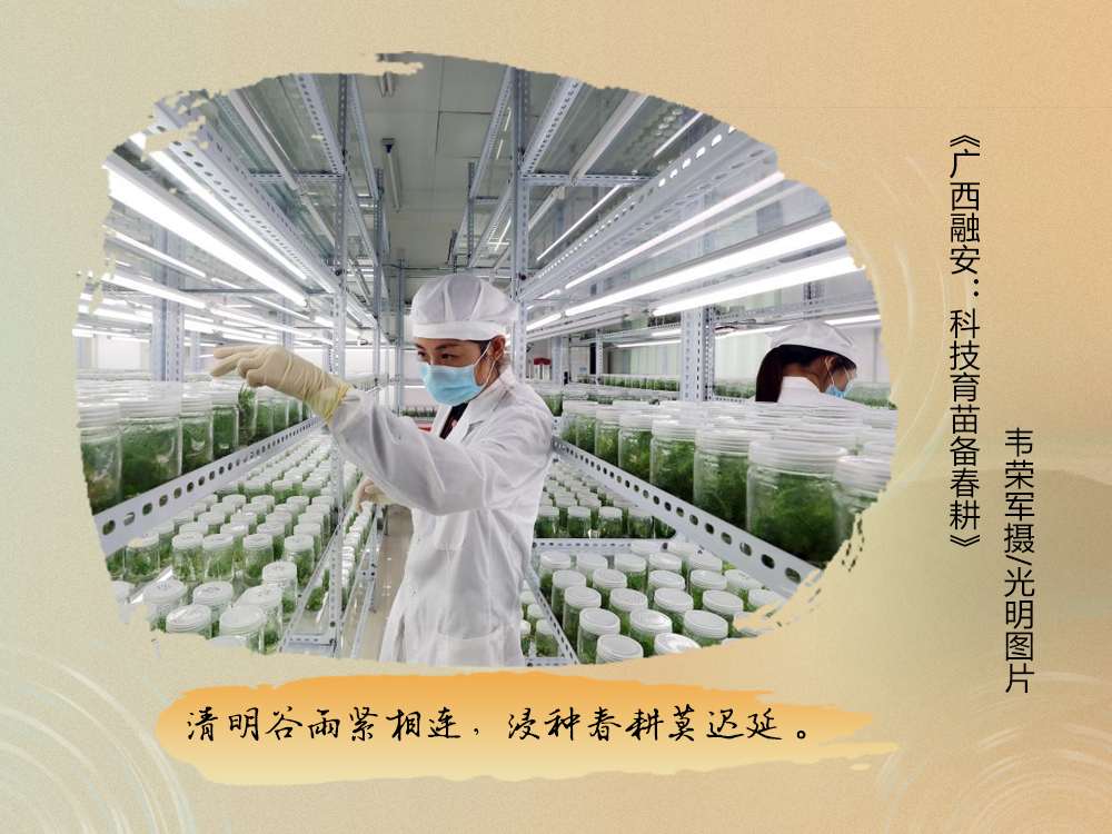 不负春光不误时！一图尽赏农谚里的春耕图景