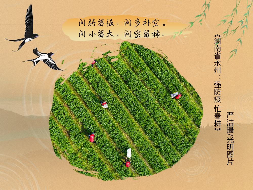 不负春光不误时！一图尽赏农谚里的春耕图景