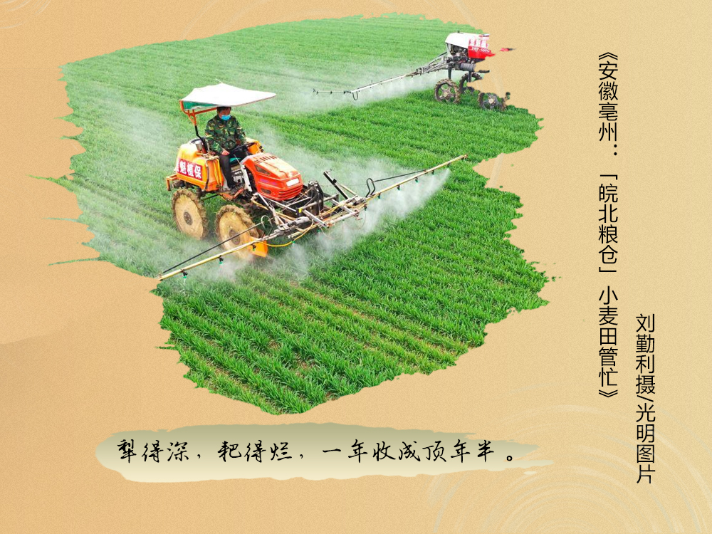 不负春光不误时！一图尽赏农谚里的春耕图景