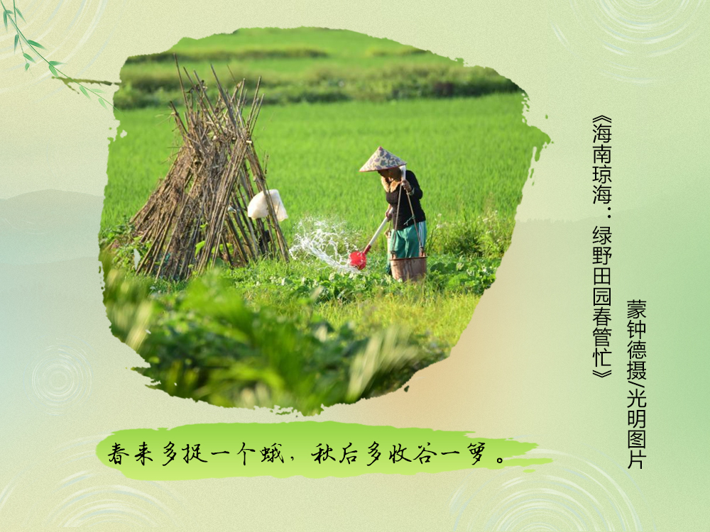 不负春光不误时！一图尽赏农谚里的春耕图景