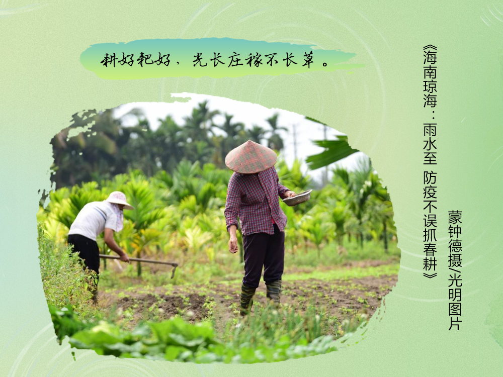 不负春光不误时！一图尽赏农谚里的春耕图景