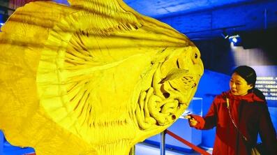 海洋科普进社区