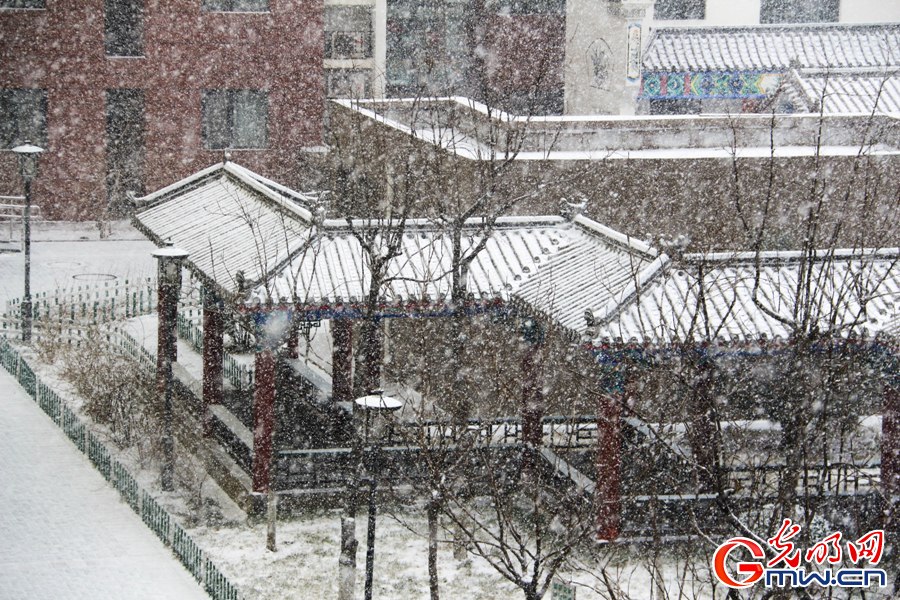 北京城迎来新春第一场雪 外国游客雪中拍照