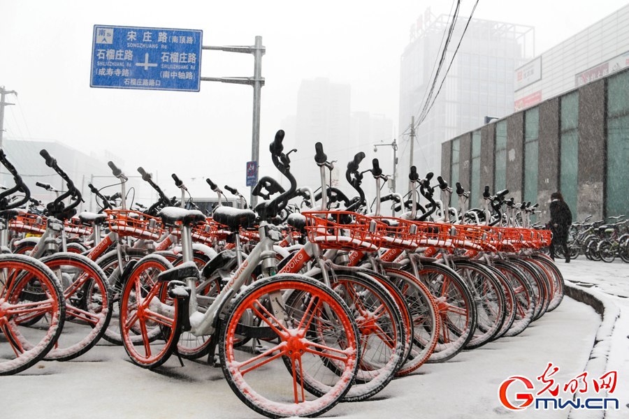 北京城迎来新春第一场雪 外国游客雪中拍照