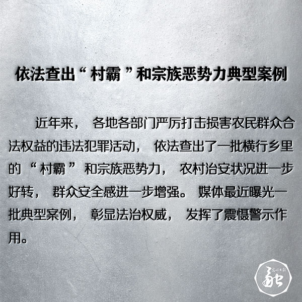 依法查出“村霸”和宗族恶势力典型案例