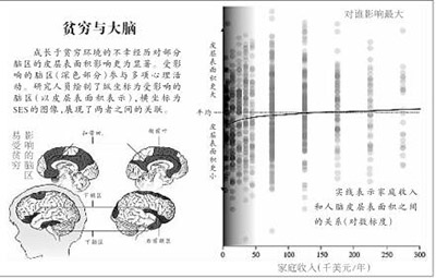 贫穷会使大脑发育不良吗