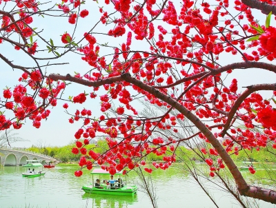 轻舟泛湖赏春色