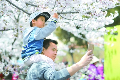 赏花拍照