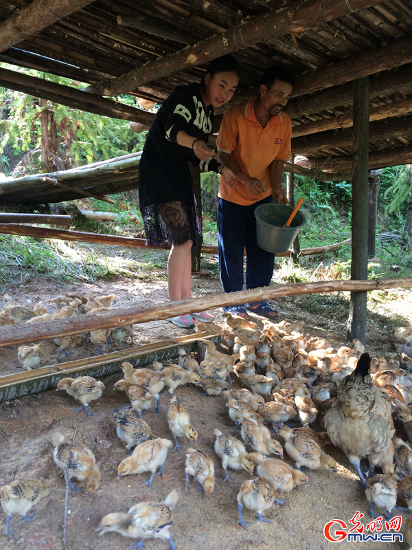 粽子的别样味道 粽子的别样味道