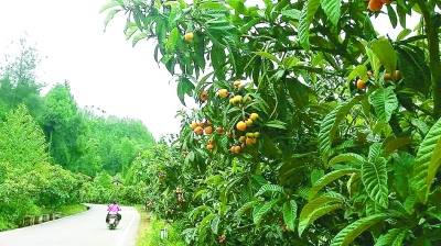 老祠堂和它的新身份