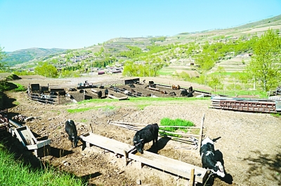 美好生活 只争朝夕 美好生活 只争朝夕