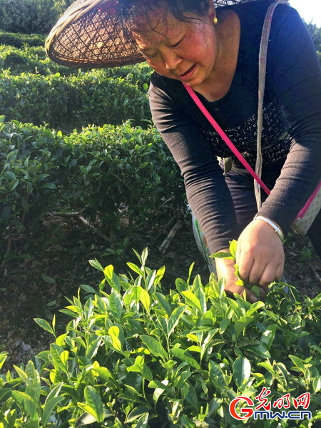 通溪桥的美与潜力