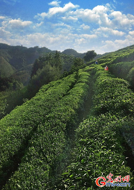 通溪桥的美与潜力