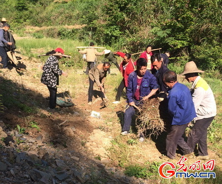 丁竹的意外惊喜