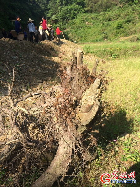 丁竹的意外惊喜