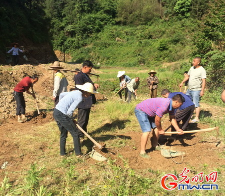 丁竹的意外惊喜