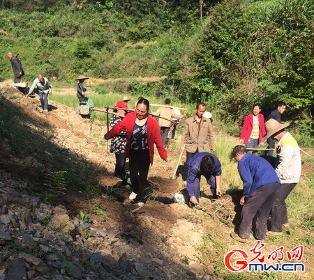 丁竹的意外惊喜