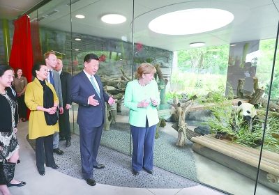 习近平同德国总理默克尔共同出席柏林动物园大熊猫馆开馆仪式 习近平同德国总理默克尔共同出席柏林动物园大熊猫馆开馆仪式