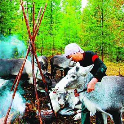 北国原野上的瑰丽花朵 北国原野上的瑰丽花朵