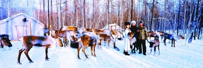 北国原野上的瑰丽花朵 北国原野上的瑰丽花朵