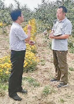 播绿从不负人心 播绿从不负人心