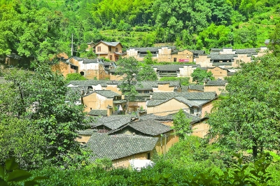 人居空间里的“绿色实践”