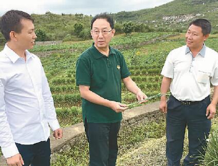 用“生态疗法”实现“绿色脱贫”