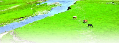 一样的苍穹本色,不一样的“诗与远方” 一样的苍穹本色,不一样的“诗与远方”