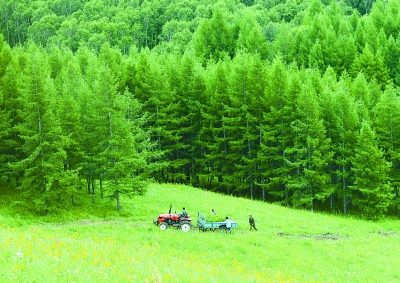 共享荒漠化防治经验，构建生态安全共同体