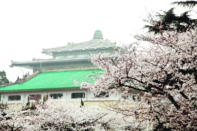 武汉大学：为祖国贡献才智 如远流汇入江海