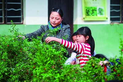 坚持中西医并重 建设健康中国