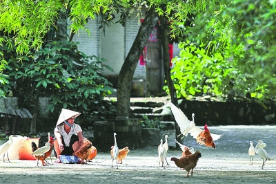 【领航新征程】广西实施“美丽广西”乡村建设活动探寻乡村振兴新路径 【领航新征程】广西实施“美丽广西”乡村建设活动探寻乡村振兴新路径