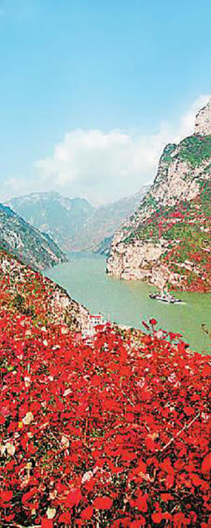 画好新时代最大同心圆