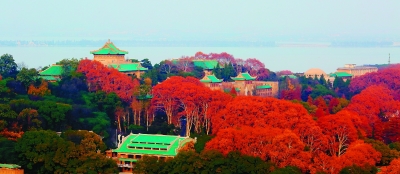 增强办学治校本领 建设世界一流大学 增强办学治校本领 建设世界一流大学