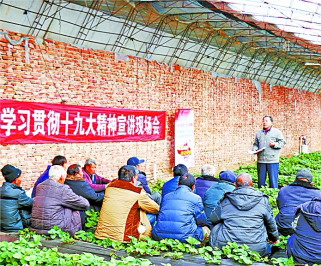 王洪旗：把“破集烂镇”建成“花园样板村”