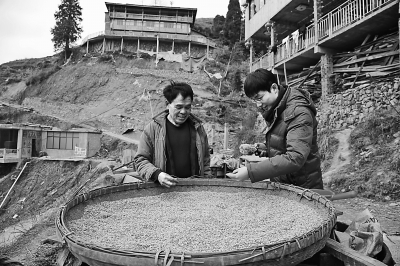 绿水青山的馈赠 绿水青山的馈赠