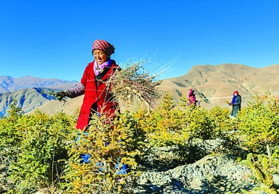 绘就美好生活的民生图景