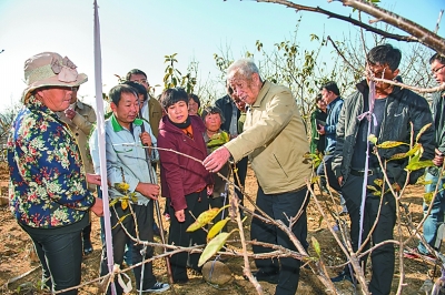 束怀瑞：“顶天立地”的“果树院士”