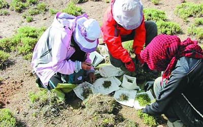 我科学家摸清中国陆地生态系统固碳“家底”