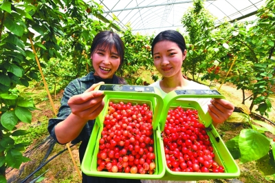 体验数字生活 体验数字生活