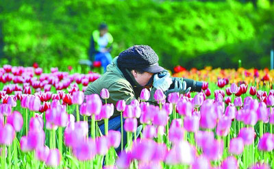努力谱写教育战线中国特色哲学社会科学繁荣发展新篇章 努力谱写教育战线中国特色哲学社会科学繁荣发展新篇章
