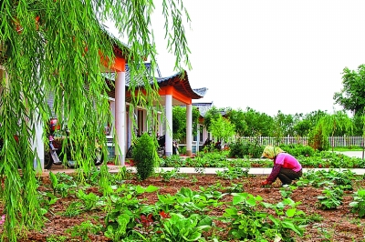 宁夏中卫市沙坡头区：这里的乡村“以克论净”