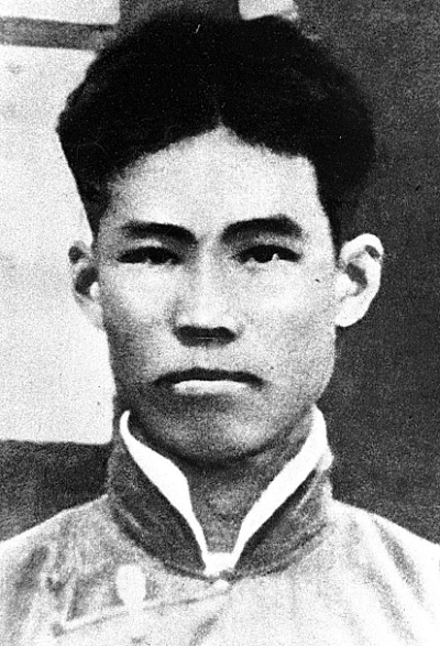 魏野畴：血洒皖北沃中华