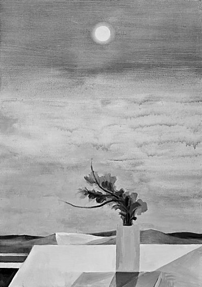 寻归自然 寻归自然