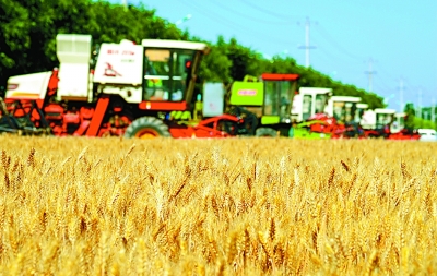 确保党始终同人民想在一起干在一起 确保党始终同人民想在一起干在一起