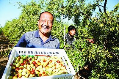 唱唱沾化老古城