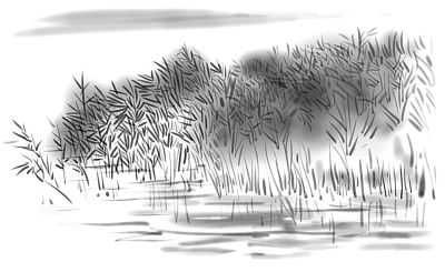 伊人宛在水中央 伊人宛在水中央